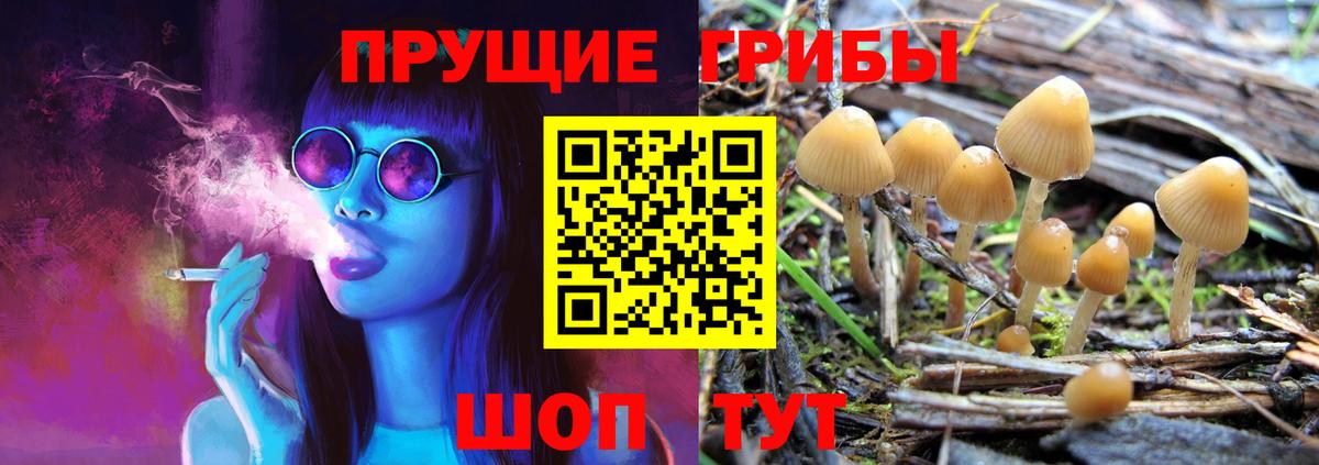 Галлюциногенные грибы мицелий  что такое   Каспийск  Вход с VPN 